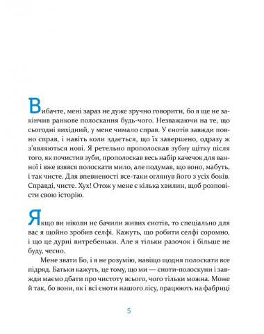 Єнотик Бо і повітряна куля